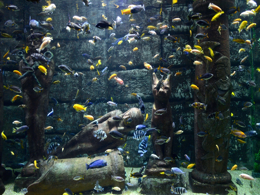 ly0307-aquarium-antalya
